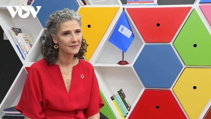 UNDP backs Vietnam in its new development period